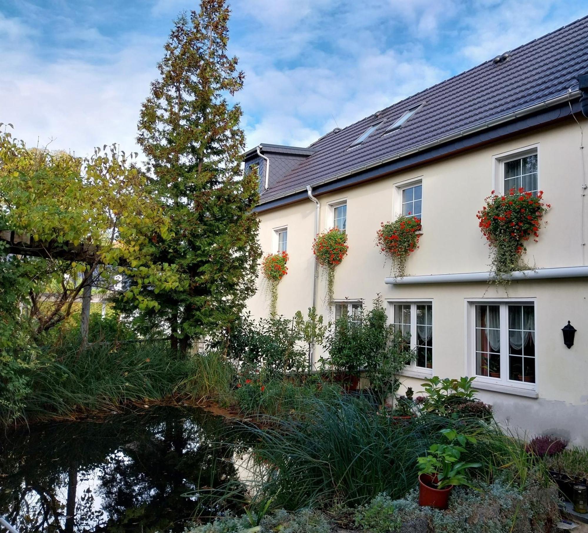 Ferienwohnung - Landhotel Waldschloesschen Sohland an der Spree Ngoại thất bức ảnh